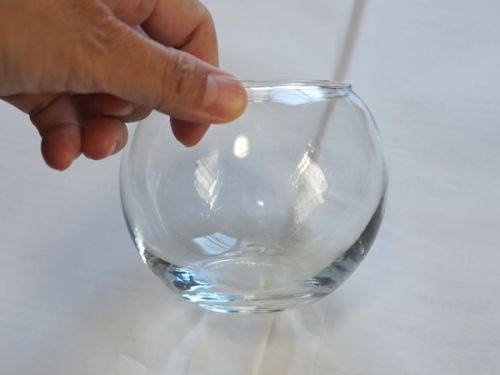 苔テラリウム,ガラス,容器
