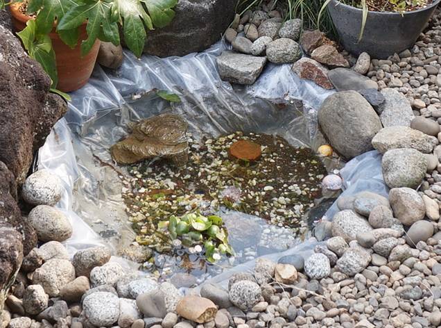 メダカのビオトープ池の作り方 池用防水シートを敷けば自作できる メダカまる